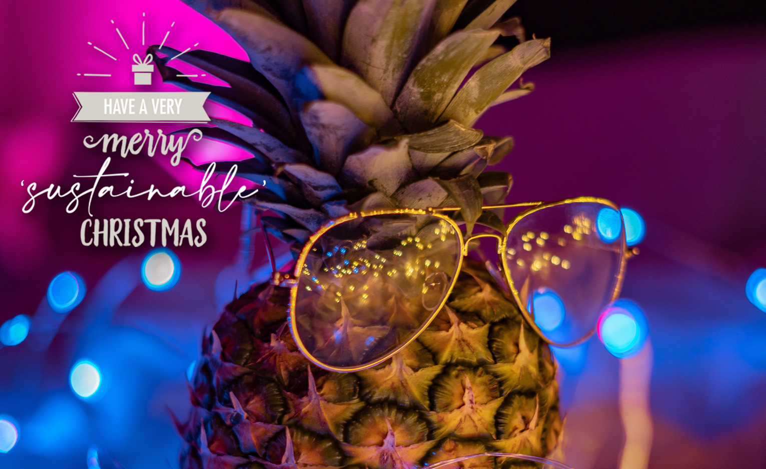 Have a very Merry ‘Sustainable’ Christmas
