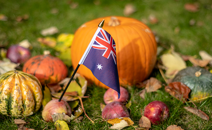 Aussie Halloween - Yes or No?
