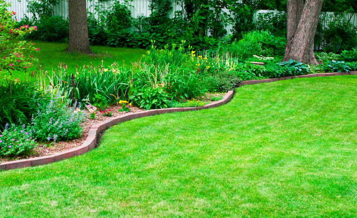 Protect your garden from the summer heat