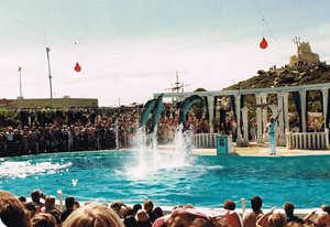 dolphinjump.jpg dolphinjump.jpg