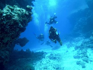 dive-813028_1920.jpg dive-813028_1920.jpg