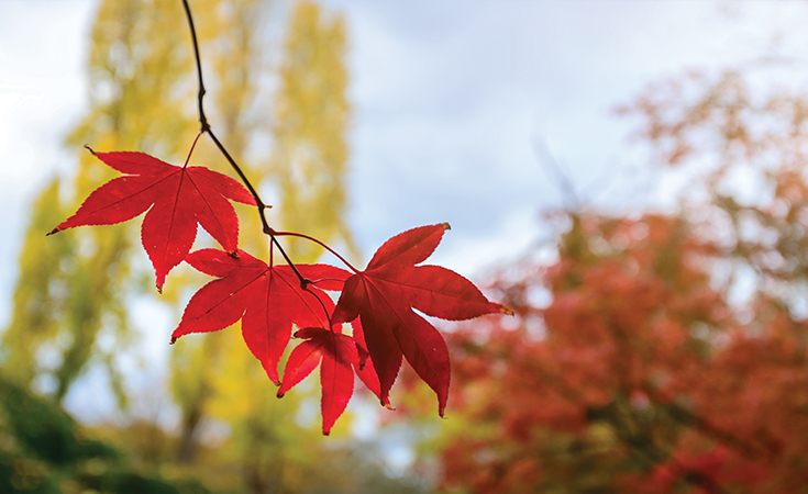 5 reasons to sell in autumn