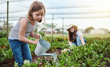 Community-garden-making-a-difference-blog-2022-sm-(1).jpg