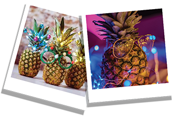 Sustainable-Christmas-blog-images-xmas-trees-pineapples.png