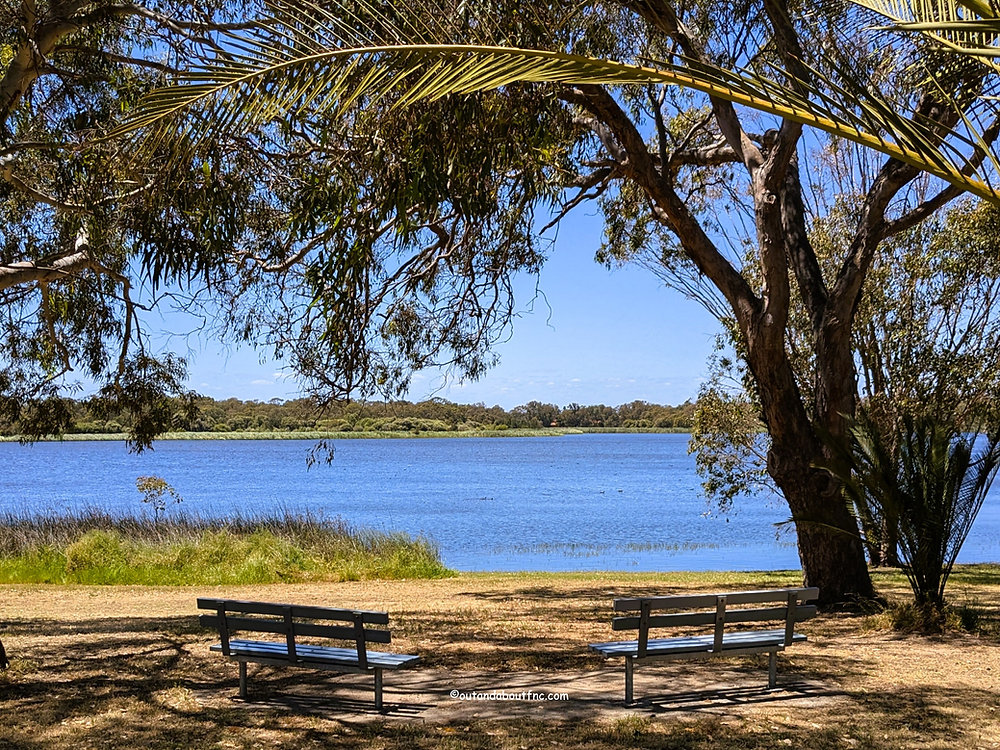 118 Holbeck Street, Doubleview, WA 6018, Doubleview - Thumbnail 8
