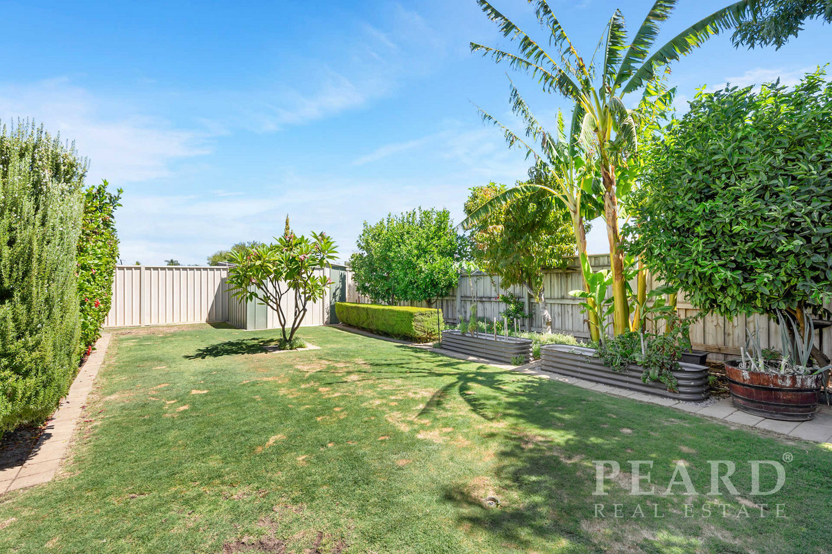 27 Hennessy Drive, Ashby, WA 6065, Ashby - Thumbnail 4